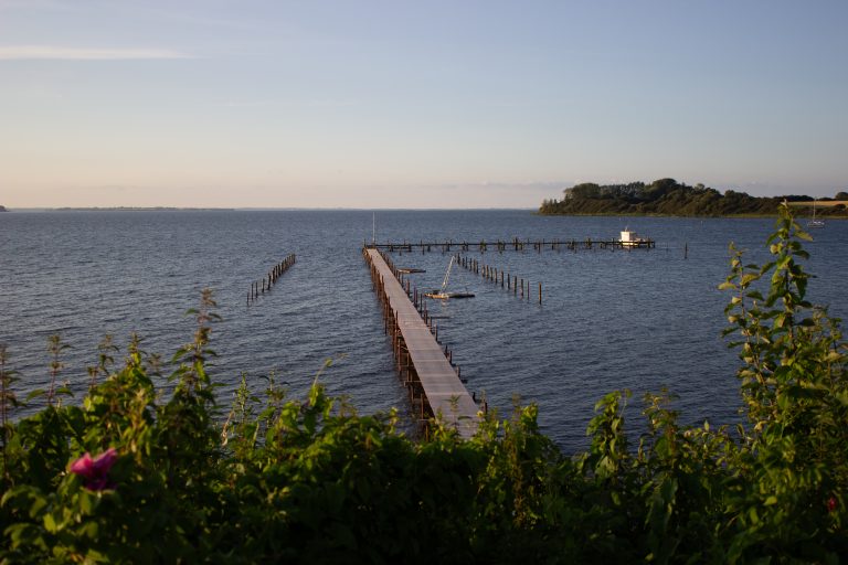 billede af en havn